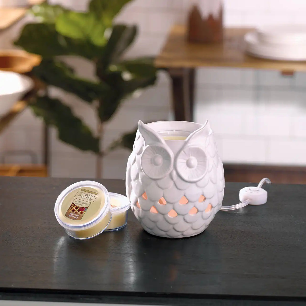 Owl Scenterpiece® MeltCup Warmer Scenterpiece® Wax Warmer
