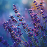 Lavender Dusk  Large Tumbler Candle