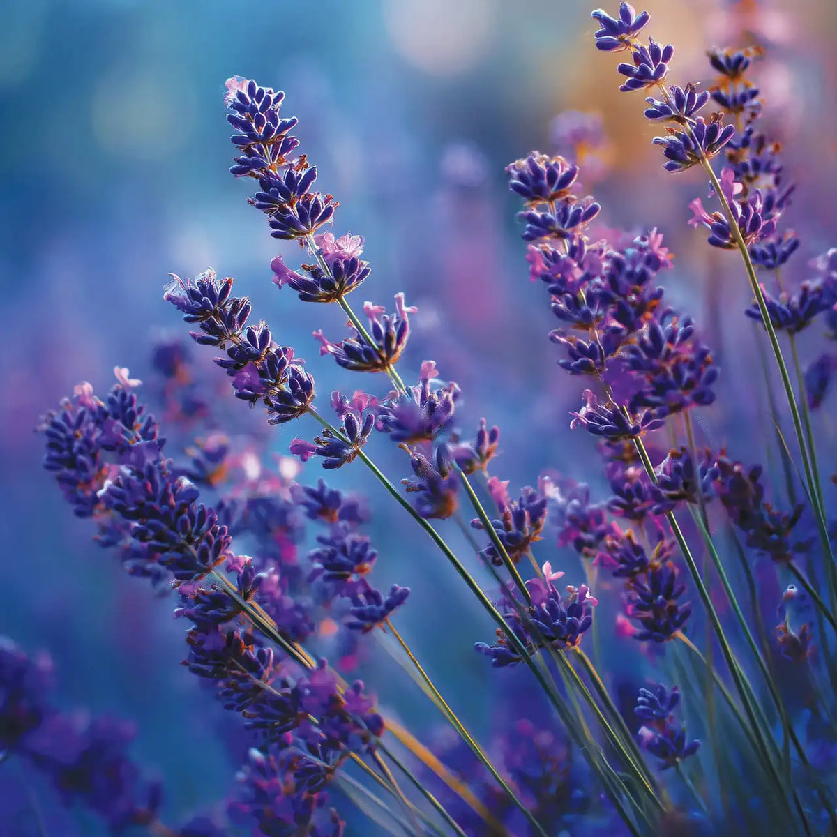 Lavender Dusk  Large Tumbler Candle