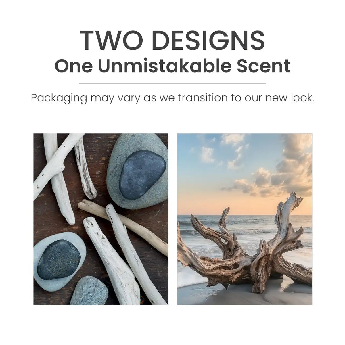 Seaside Woods ScentPlug® Refill