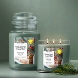 Scripted Spruce Original Large Jar Candle