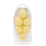 Sun Club Wax Melts 6-Packs