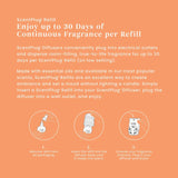 Honey Clementine ScentPlug® Refill