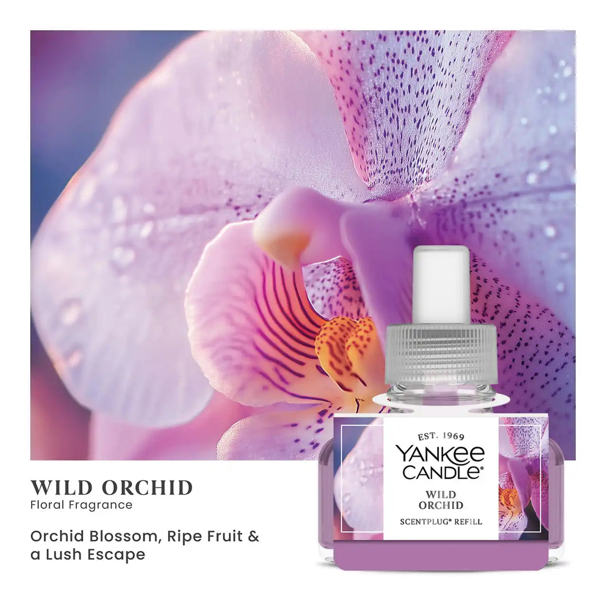 Wild Orchid ScentPlug® Refill