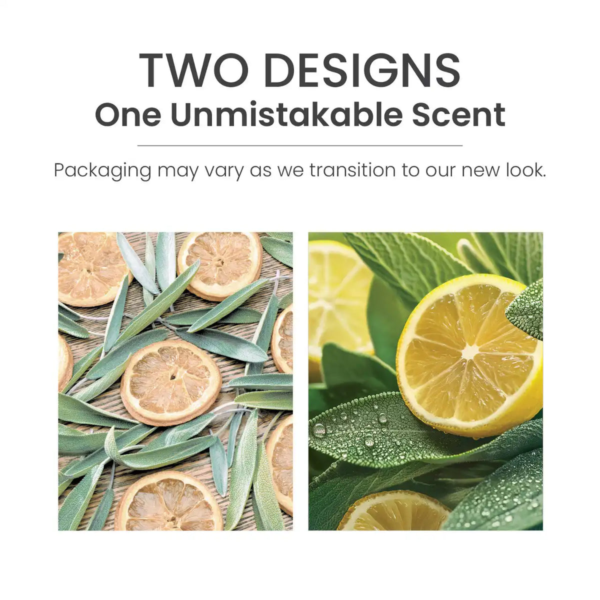 Sage & Citrus Car Jar® Ultimate