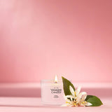 Pink Sands™ Yankee Candle® Minis