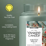 Scripted Spruce Original Large Jar Candle