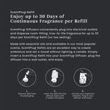 MidSummer's Night® ScentPlug® Refill