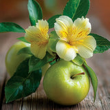 Iris Apple Small Tumbler Candle