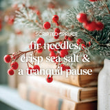 Scripted Spruce Original Large Jar Candle