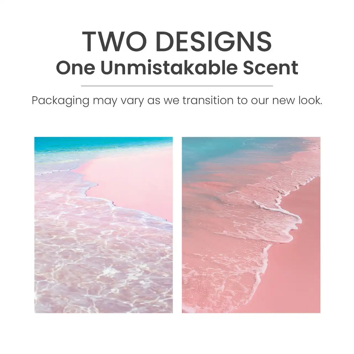 Pink Sands™ Vent XO Sidekick® Vent Clip Fragrance Kit