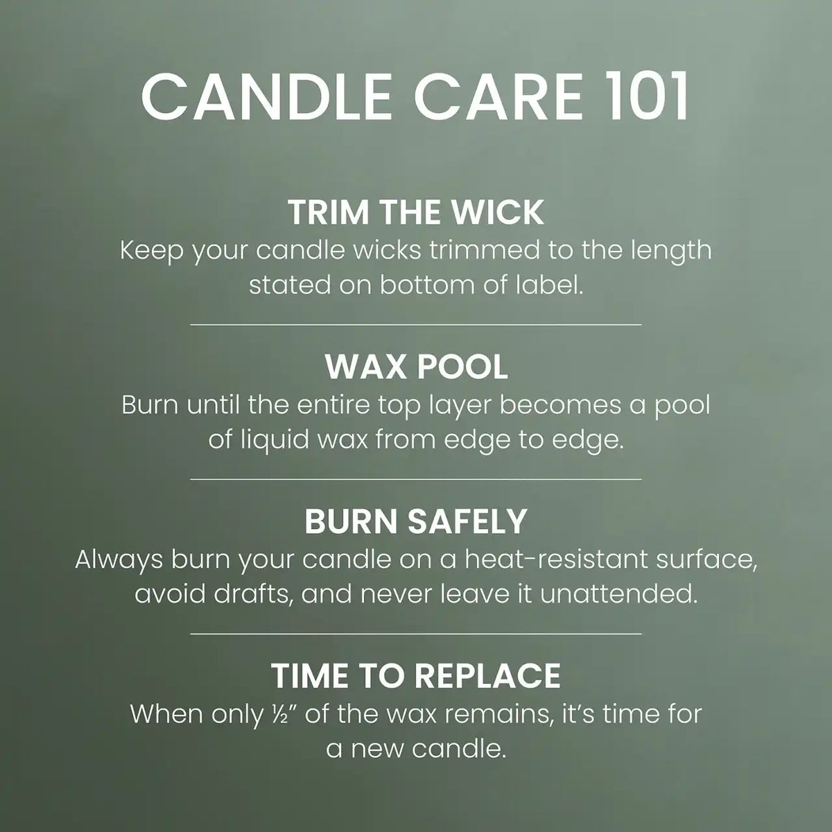 Scripted Spruce Original Large Jar Candle