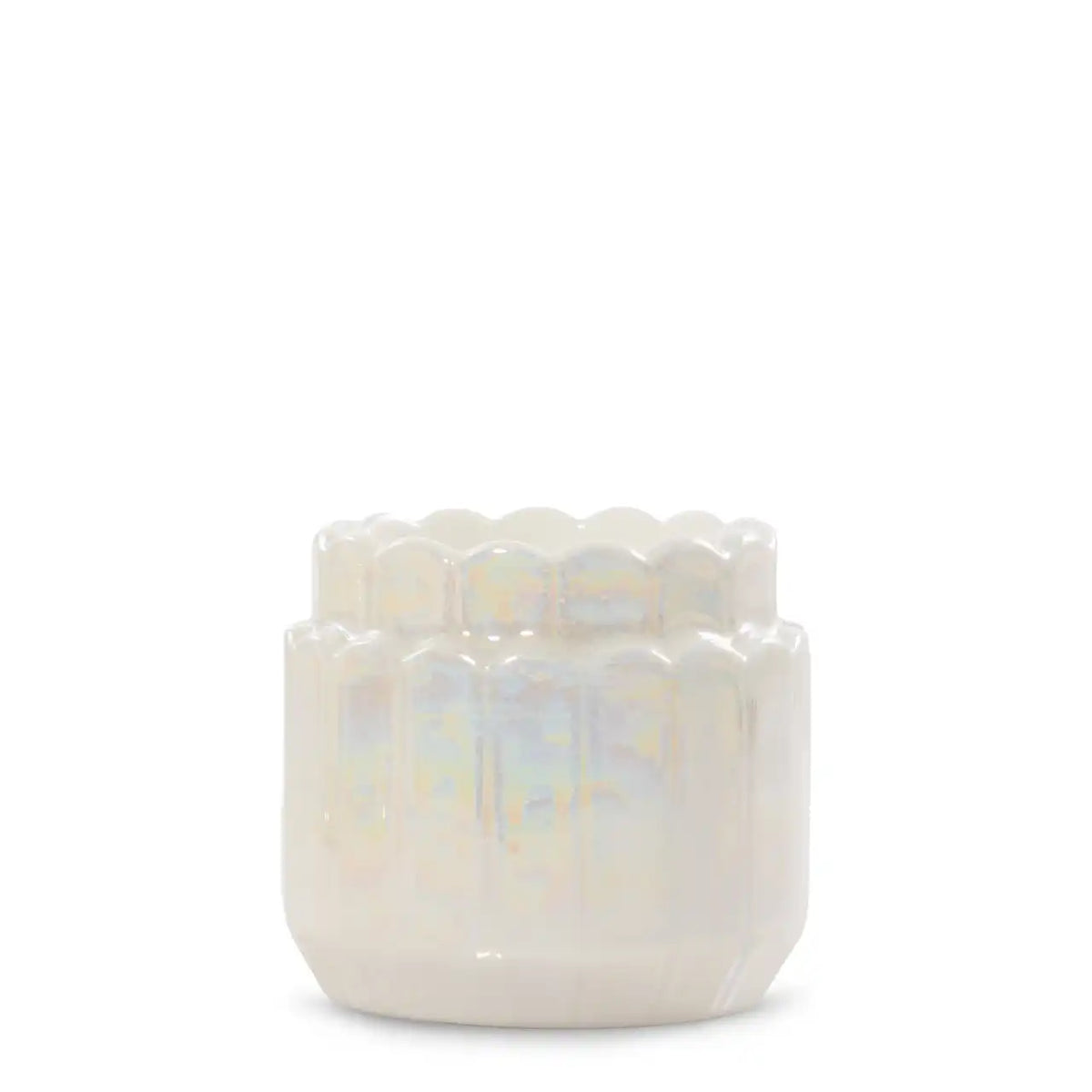Lustra Shell Tea Light Candle Holder Tea Light Candle Holders