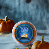 Trick or Treat® Easy MeltCup