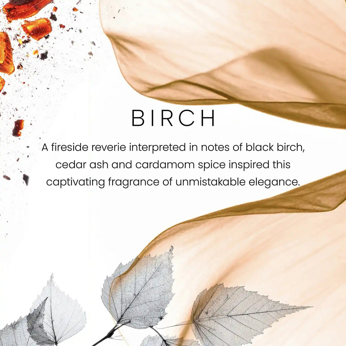 Birch Premium Medium Candle