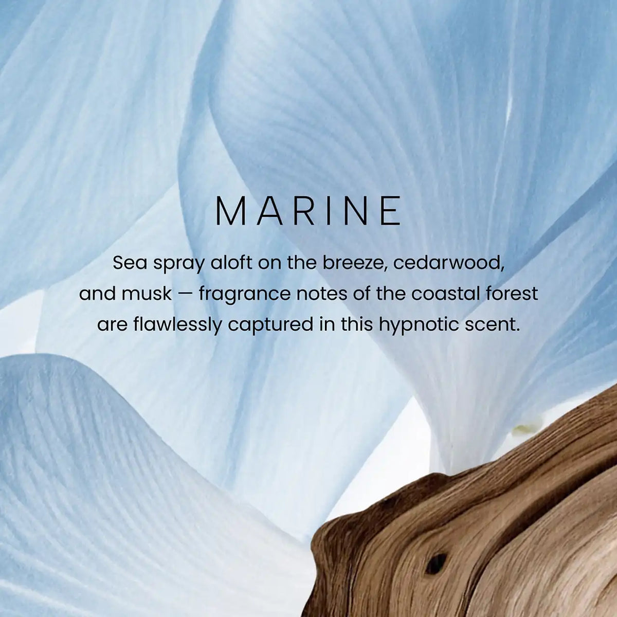 Marine Premium Small Candle