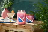 Social Birdie - Melon & Spun Sugar 3-Wick Candle