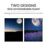 MidSummer's Night® ScentPlug® Refill