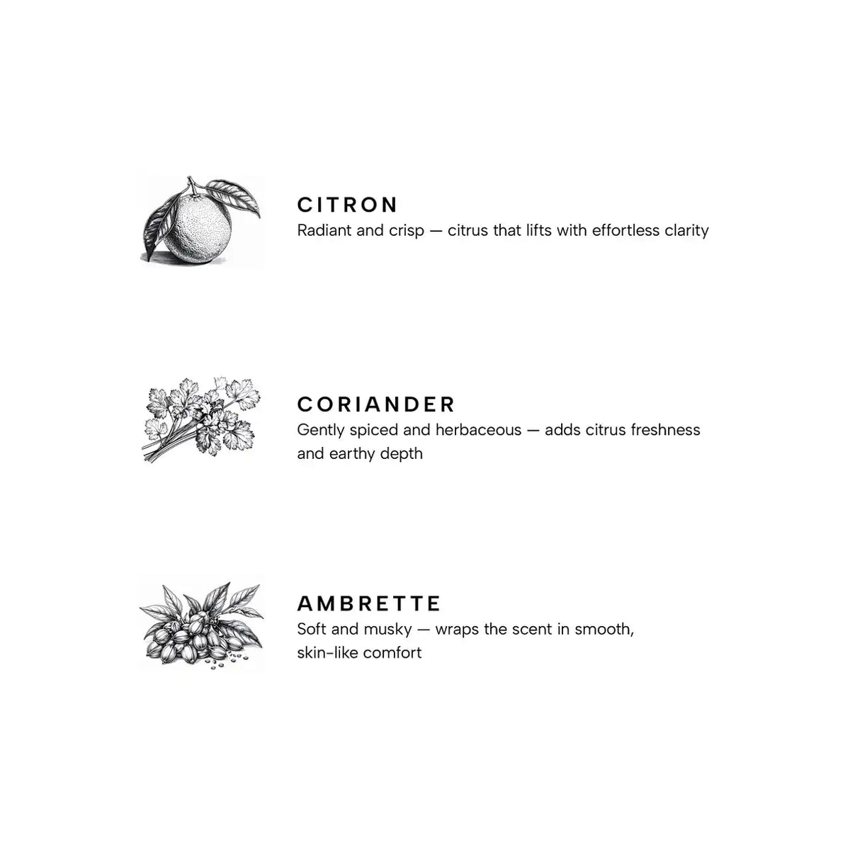 Citron Premium Medium Candle