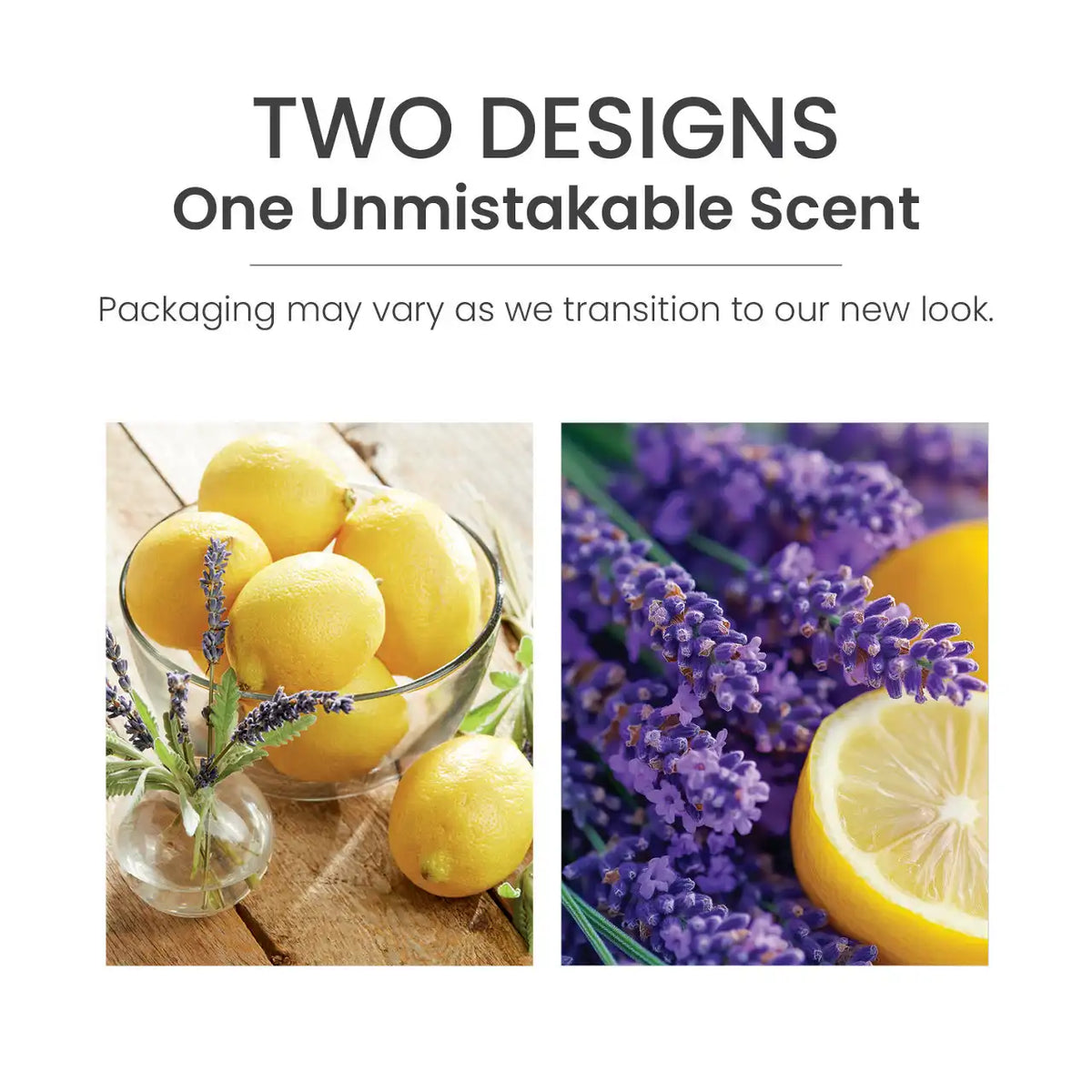 Lemon Lavender Smart Scent™ Vent Clip